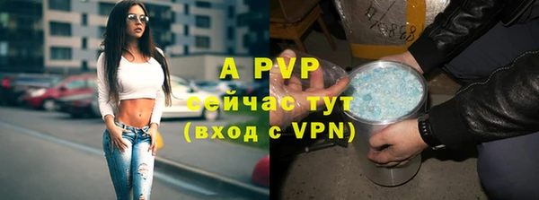 винт Балахна