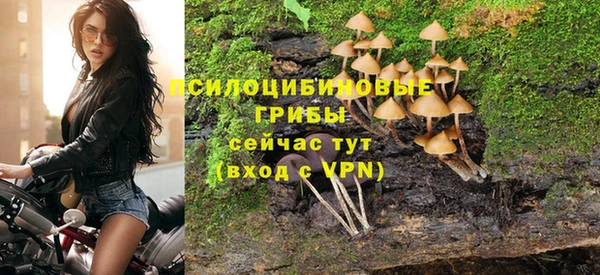 молекула духа Баксан